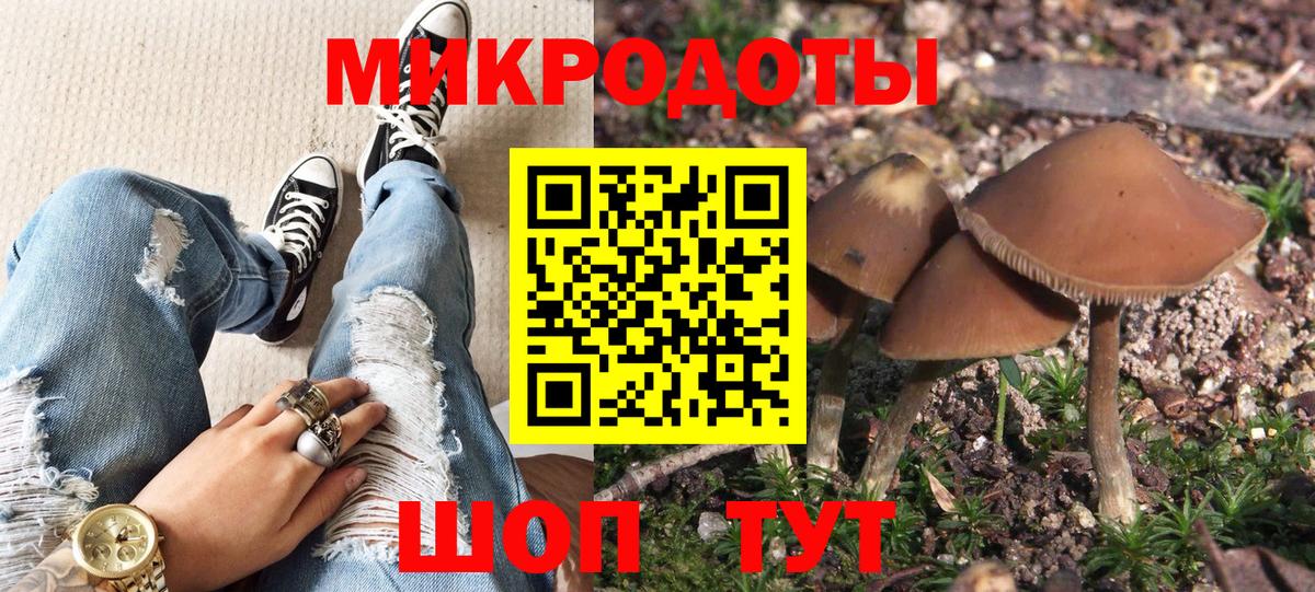 Псилоцибиновые грибы GOLDEN TEACHER Владимир